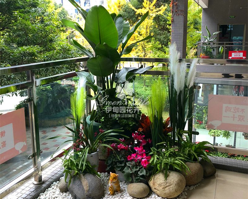 走廊阳台花卉绿植租赁