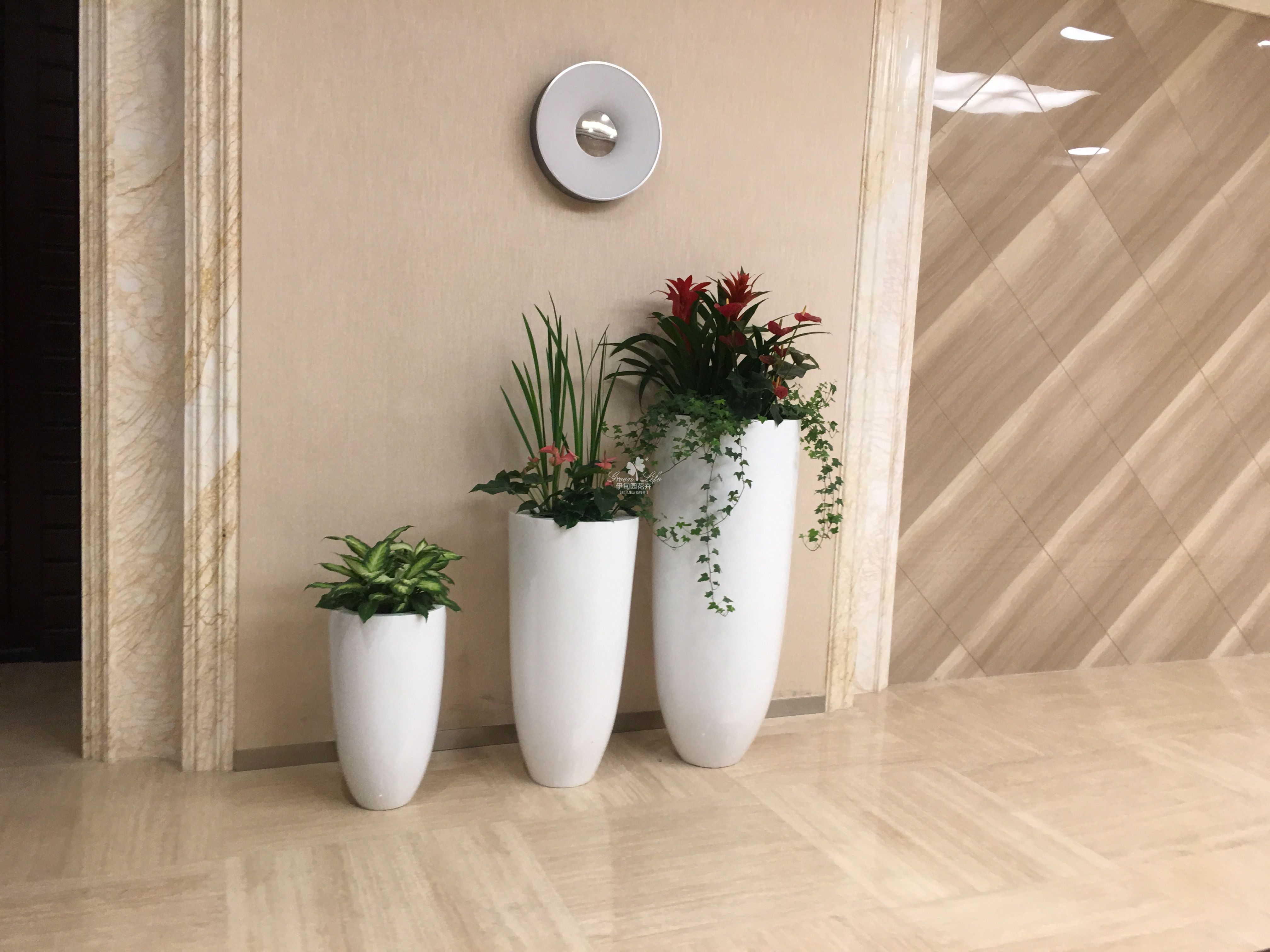 走廊绿植花卉租赁