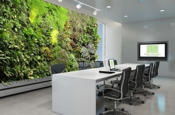 会议室植物墙