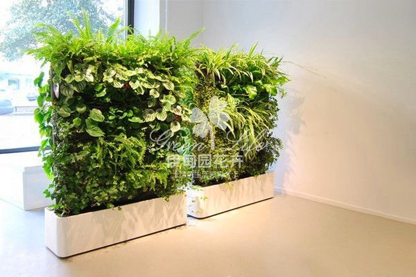 立体柱植物绿墙
