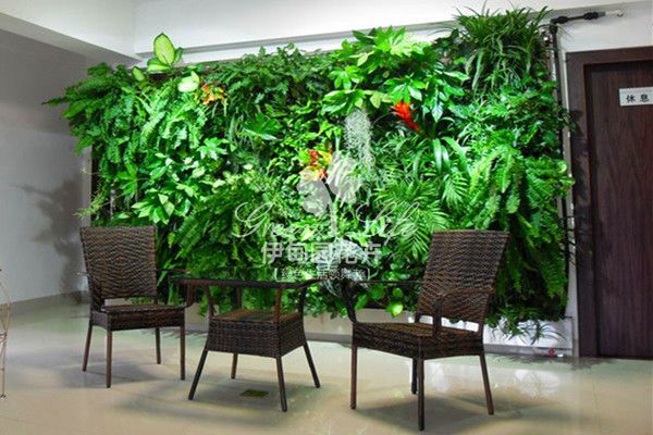 休息厅植物绿墙