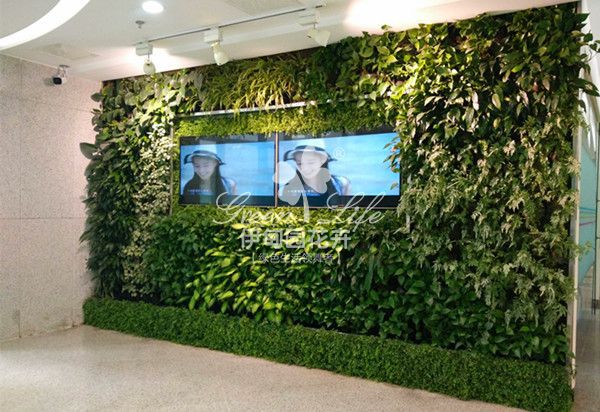电视植物绿墙