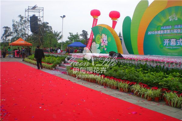 【花卉绿植物租赁】开幕式布置