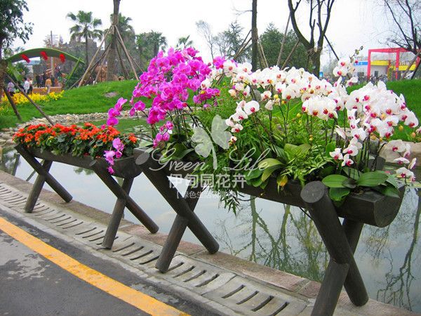 花卉绿植物租赁组景