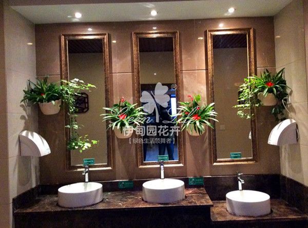 【花卉绿植物租赁】洗手间