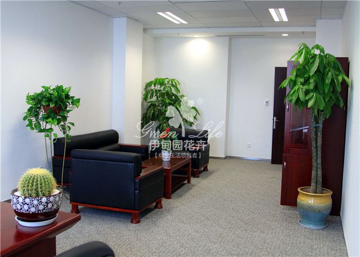 领导办公室植物租赁