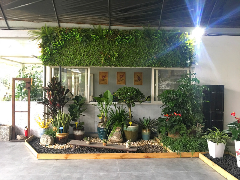 植物展厅