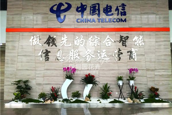中国电信植物出租案例