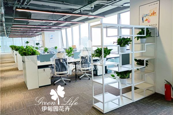 远洋集团绿植租赁案例